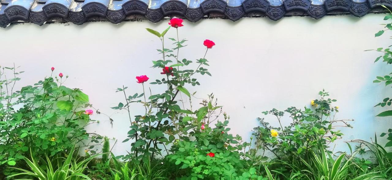 Tujia folk houses Zhangjiajie Eksteriør bilde